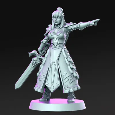 Fate Female Knight Miniature By RN Estudio Dungeons And Dragons DND • $6