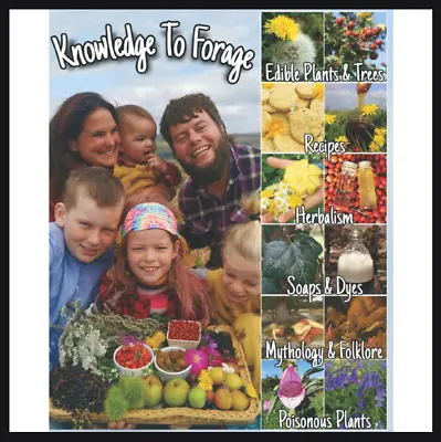 Knowledge To Forage Wild Edible & Medicinal Plants & Trees • £32.90