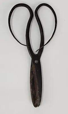 Vintage Japanese Bonsai Scissors Forged Hand Made For Bonsai Trimming • $30