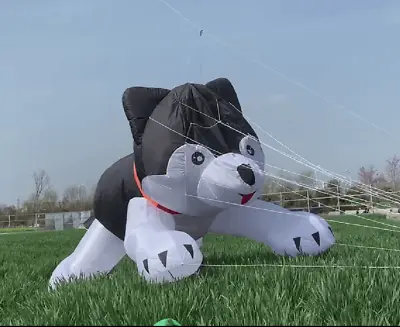 £290.92 • Buy 2022 New Outdoor Sports Toys 3.5m Husky Kite Pendant Soft Inflatable Kite Dog