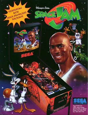 Pinball ROM CPU And DISPLAY SET (2 Chips) Sega Space Jam Upgrade • $22.27