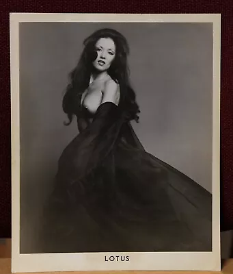 Dancer(?) Lotus - Joe Carroll Entertainment Agency N.Y.C. 8x10 Photograph • $8.50