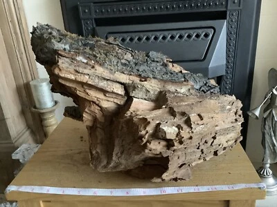 £8.99 • Buy Driftwood , Aquarium, Vivarium, Art, Craft,shop Window/Floral Display,