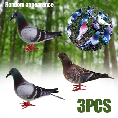 £6.19 • Buy 3pcs Simulation Pigeon Ornaments Garden Decorative Feathered Birds Doves -