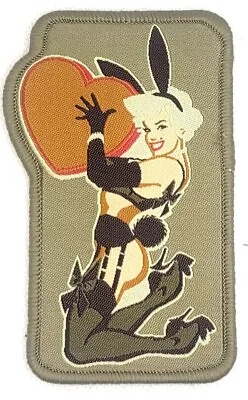 Pinup Girl Milspec Monkey Desert Tactical Woven Patch Anna Nicole Playboy • $7.99
