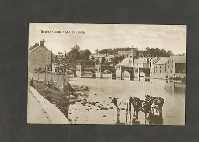 Postcard Wales Radnorshire Brecon Castle And Usk Bridge • £3.99