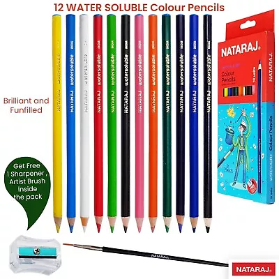 Premium Water Soluble Colour Pencils Sharpener Brush Set Artist Therapy GIFT SET • £2.45