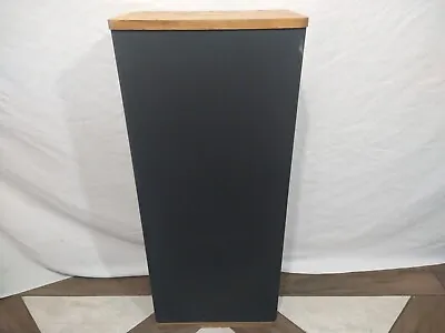 VANDERSTEEN Model 2 Vintage Speaker ~ One  Speaker  AS-IS • $149