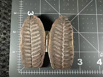 ➤ 2-1/2 Inch - Mazon Creek PTYCHOCARPUS UNITUS Fern Fossil ➤039 • $21.10