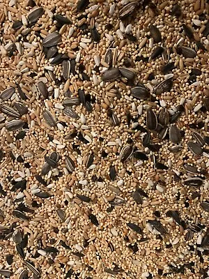 Higgins Supreme Cockatiel Natural Diet Food Seed Mix Millet  Food Tiel Diet • $152