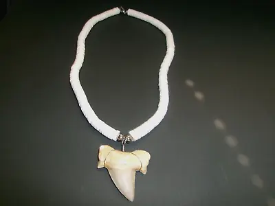 Real Shark Tooth Pendant Surfer Necklace For Men Boys White Beads Handmade • $25