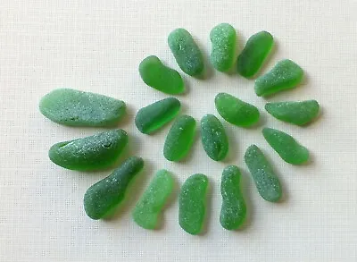18 Pcs GREEN Beach Combed Sea Glass For Jewelry Or Mosaics LARGER TAPERS • $16.95