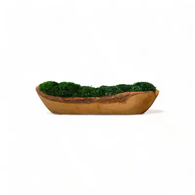 Olive Wood Moss Bowl 12  - Long Wood Dough Bowl With Preserved Moss (Green) • $69.95