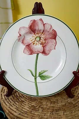 Villeroy & Boch Porcelain Flora Dinner Plate Fine China 10 1/2  Germany READ • $28