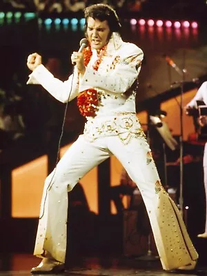 $10.99 • Buy Elvis In Concert   The King  Rock N Roll 1970 18X24 POSTER NEW