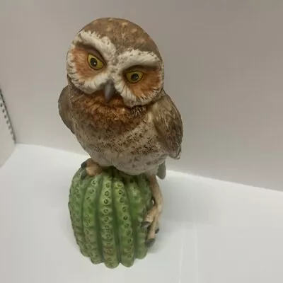 Vintage Elf Owl From Majestic Owls Of The Night Hamilton Collection By Maruri • $15