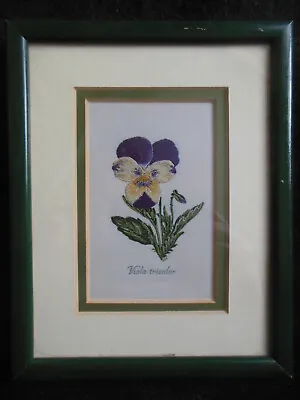 £14.99 • Buy Woven Silk J J Cash Picture Of Viola Tricolor (Pansy) Plant, Flower, Framed