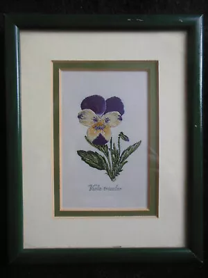 Woven Silk J J Cash Picture Of Viola Tricolor (Pansy) Plant Flower Framed • £14.99