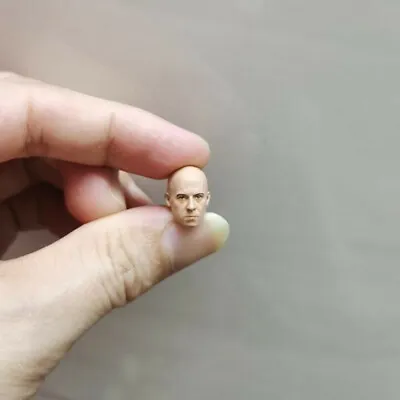 Painted 1/18 Scale Speed And Passion Vin Diesel Head Sculpt Fit 3.75  Figure • $17.99