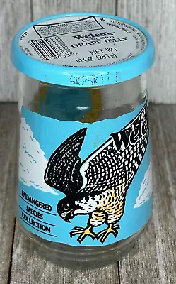 Vintage Welch's Endangered Species Glass Jelly Jar Number 6 Peregrine Falcon • $10