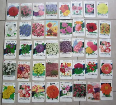 Lot Of 40 Old Vintage 1960's - FLOWER SEED PACKETS - Lone Star - EMPTY • $19.99