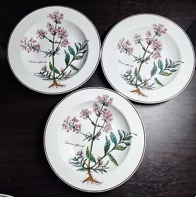 Villeroy & Boch Botanica Series Rimmed Soup Salad Bowl 8 5/8 Luxembourg Lot Of 3 • $39.90