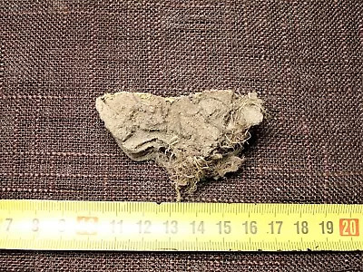 WOOLLY MAMMOTH Genuine Sole Of The Foot Fragment Pleistocene 208 G Very Rare! • $199