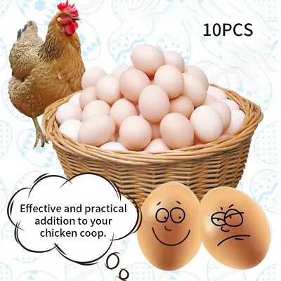 10pcs Agricultural Home Chicken DIY Crafts FakeFor Nesting Box Easter Decor • $13.38