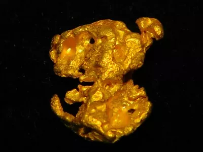 Brilliant Australian Gold Nugget ( 1.25 Grams ) .In Secure Display Box. PUPPY. • $9.99