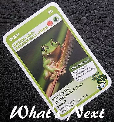 Woolworths <<AUSSIE ANIMALS>> Card 20/108 BUSH Green-and-Golden Bell-Frog • $2.47