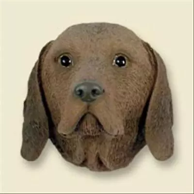 Vizsla Dog Head Painted Stone Resin MAGNET • $12.99