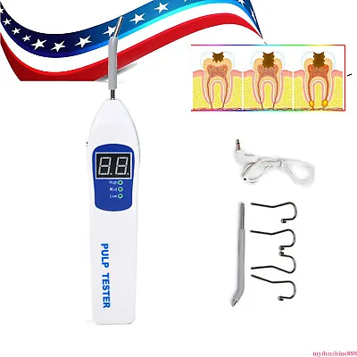 $32.99 • Buy Dental Pulp Tester Tester Oral Teeth Nerve Vitality Endodontic LCD With 4 Hooks