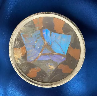 Vintage Blue Morpho Butterfly Wing Art Plate • $12