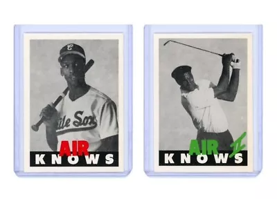 SET OF 2 - MJ Michael Jordan AIR KNOWS White Sox Baseball Golf Novelty Card • $6.99