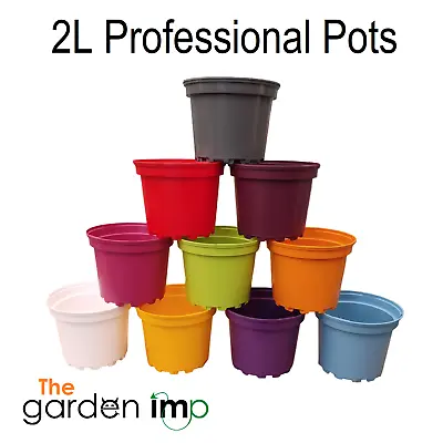Coloured Plastic Plant Pots Round Pot Bright Strong Commercial 2L Litre | Qty 10 • £9.99