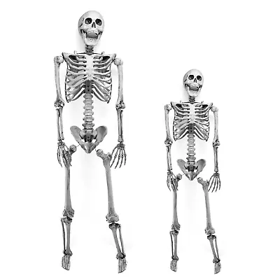 Halloween Life Size Skeleton 5.6' Adult + 3' Child Weather Resistant Yard Decor • $89.89