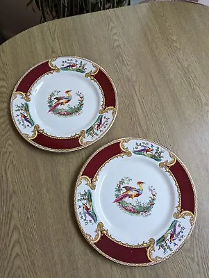 Art Deco Myotts Chelsea Bird Pair Luncheon Plates 9  In Excellent Condition  • £9.50