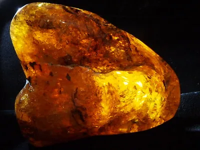 Fully Polished Mexican Amber 126.3 G • $252