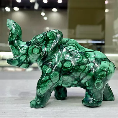 390G Rare Natural Malachite Quartz Handcarved Crystal Hippo Treatment • $21.50