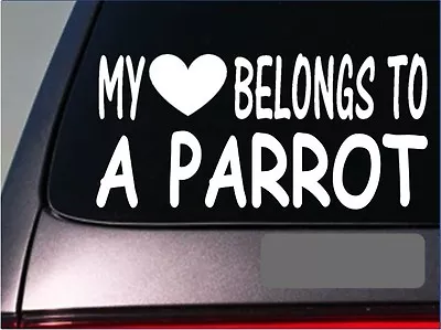 Parrot My Heart Belongs Sticker *G546* 8  Vinyl African Grey Food Birdcage Macaw • $3.39