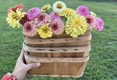 Lot Of 4 Vintage Split Wood Slat Bushel Baskets Fruit Vegetable Flower Garden • $25