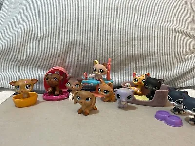 ⭐️Huge Vintage Littlest Pet Shop LPS Bundle - Short Haired Cats Dogs The Lot • $700