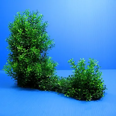 3D Aquarium PLASTIC PLANTS 15 L Ornament Fish Tank Decoration Water Plant • $40.44