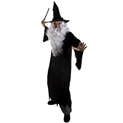 Dark Wizard Costume Mens Halloween Fancy Dress Robe Hat Wig Beard Wand Tv Film • £25.29