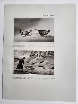 Old Antique Vintage Print 1924 Annals Of Sporting 1823 Cock Fighting Ferreting • £10.50