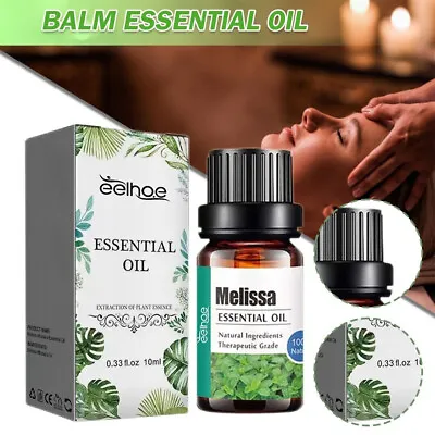 Melissa Officinalis Essential Oil Natural Stress Reliever Improves Memory Loss • $4.59