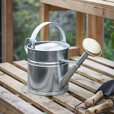 5 Litre Silver Galvanised Steel Metal Outdoor Garden Watering Can Brass Rose UK • £34.99