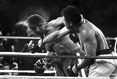 MUHAMMAD ALI GEORGE FORMAN KO Classic Iconic Boxing Picture Photo Print 8  X 10  • $12.50