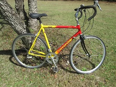 Vintage  Cannondale Mango Tango R800 58cm  Aluminum  Road Bike Mavic Shimano 105 • $395