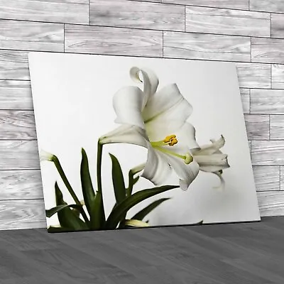 Exquisite Easter Lily Closeup Detailed Neutral Canvas Print Large Picture Wall • £14.95